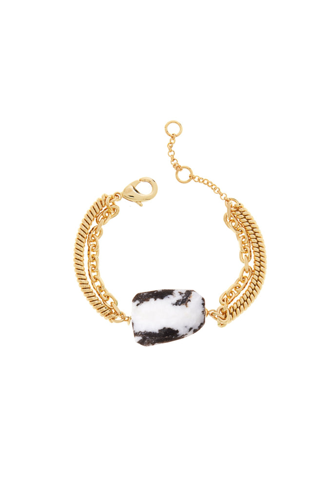 DS1B030_MEXICAN ZEBRA