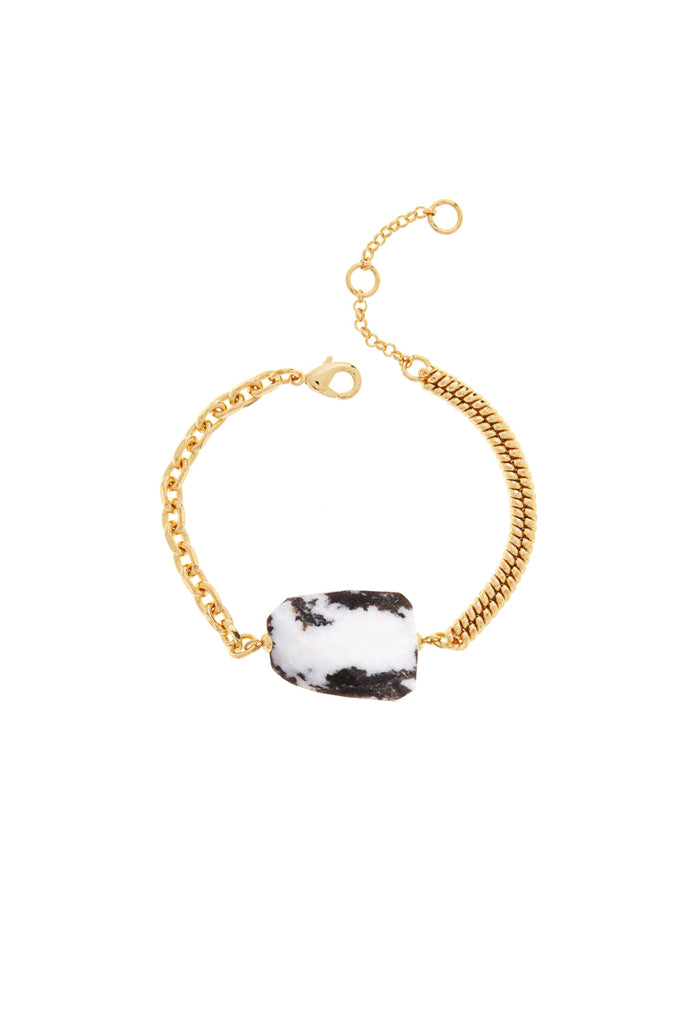 DS1B034_MEXICAN ZEBRA