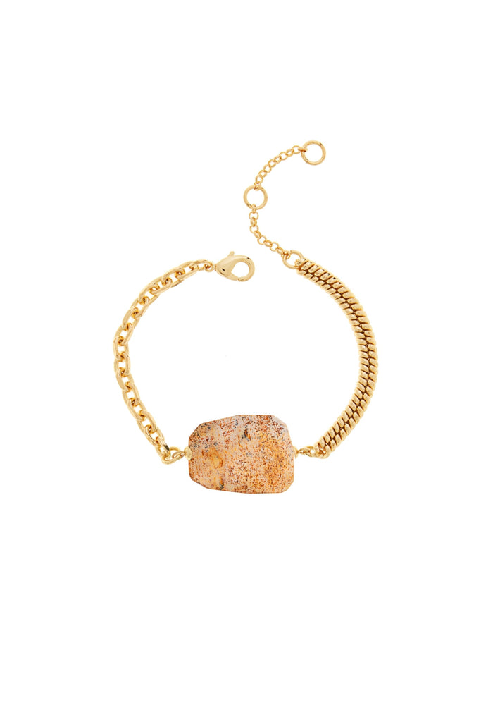 DS1B034_PICTURE JASPER