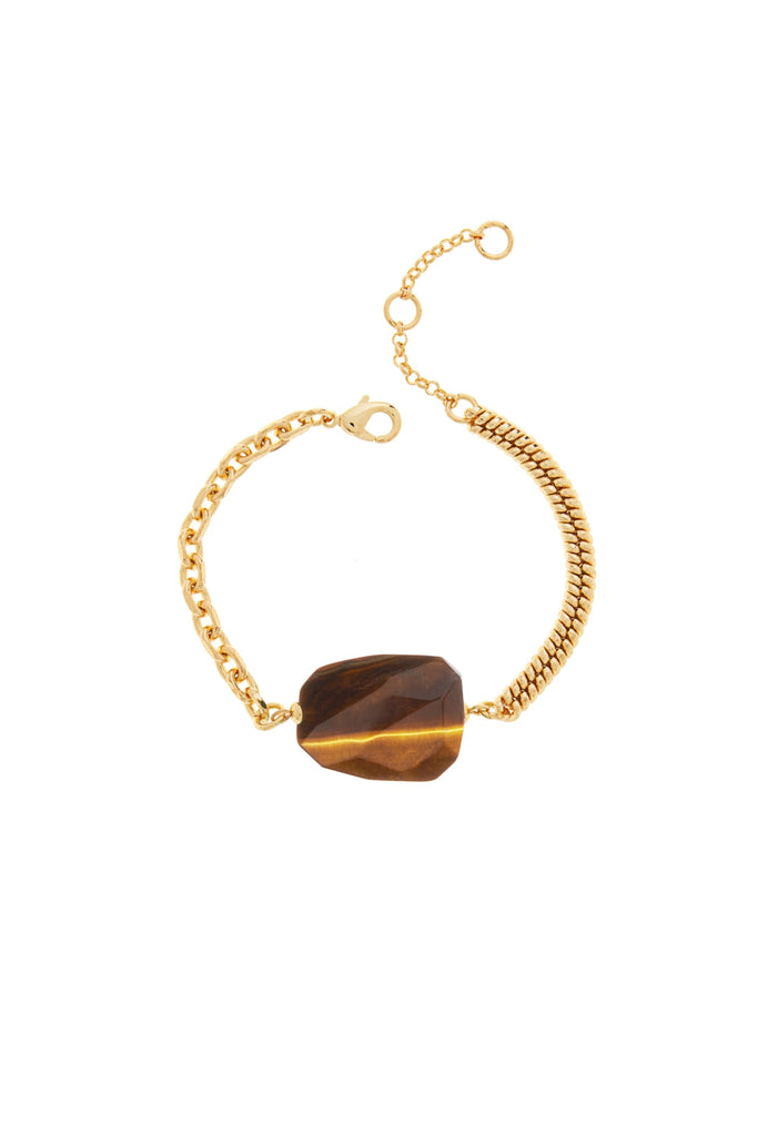 DS1B034_TIGER EYE