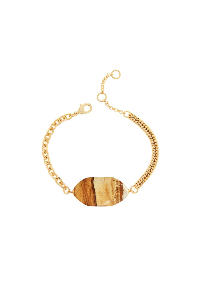 DS1B035_PICTURE JASPER