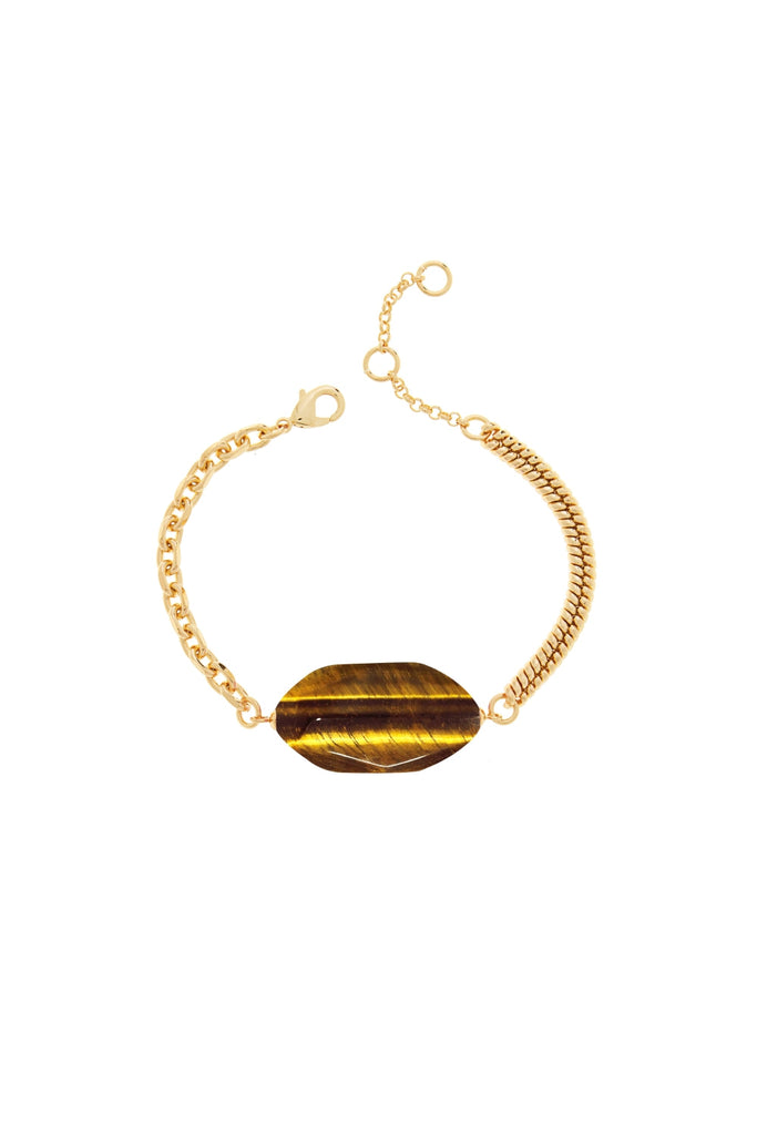 DS1B035_TIGER EYE