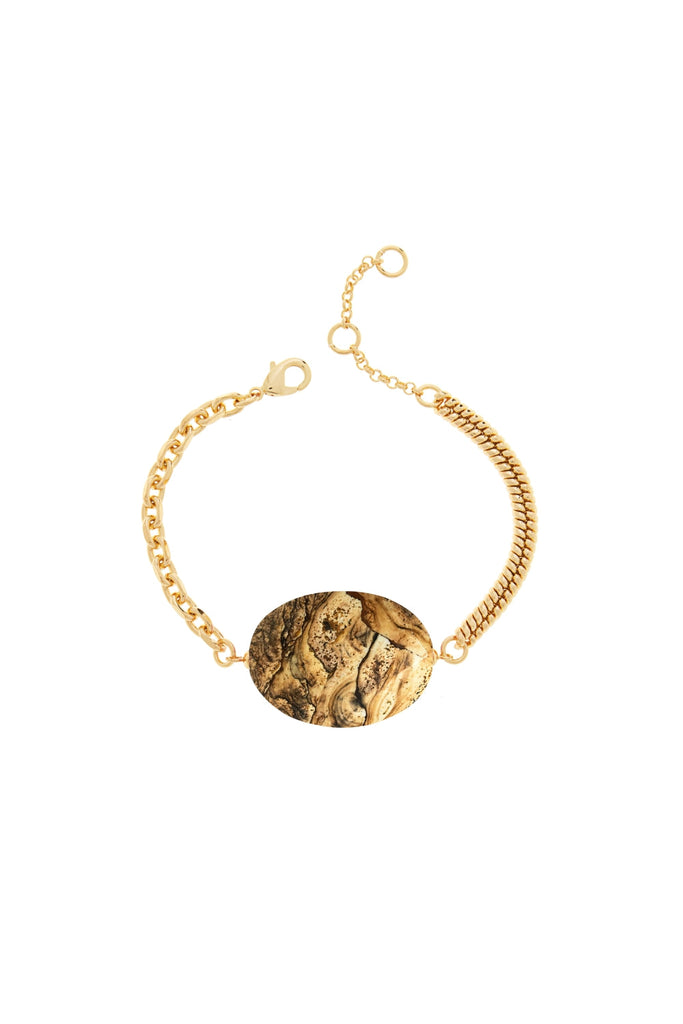 DS1B036_PICTURE JASPER