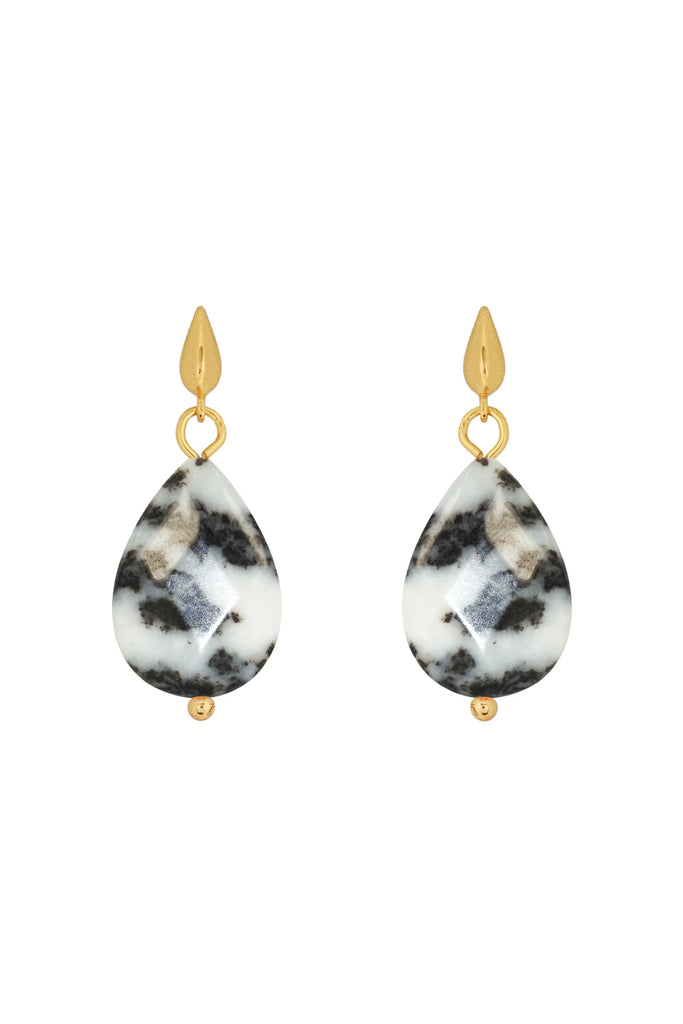 DS1E002_MEXICAN ZEBRA