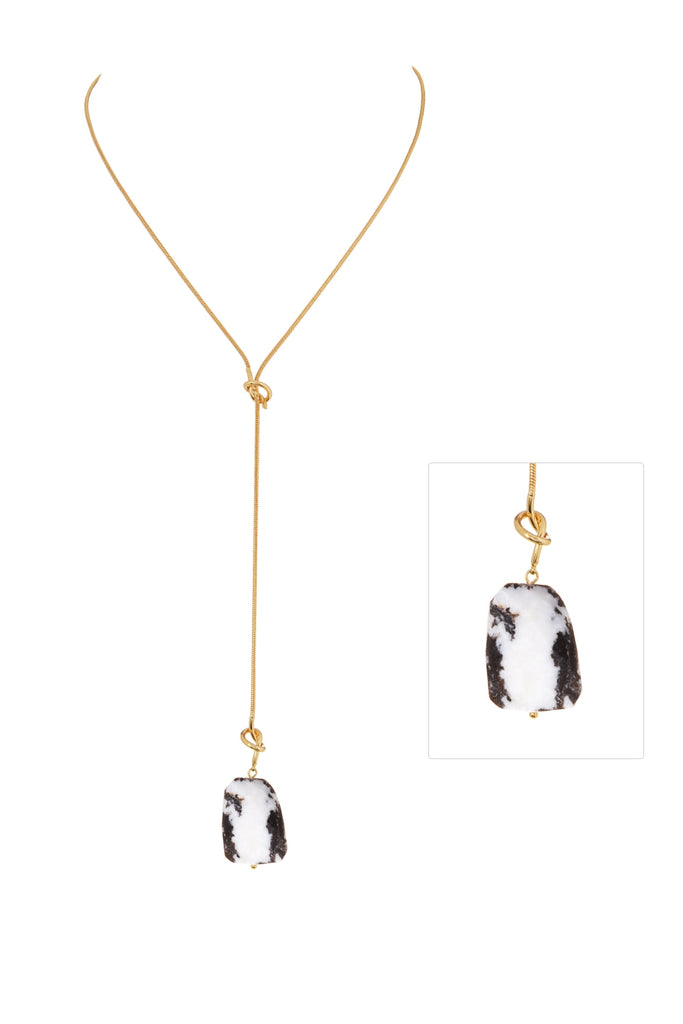 DS1N014_MEXICAN ZEBRA