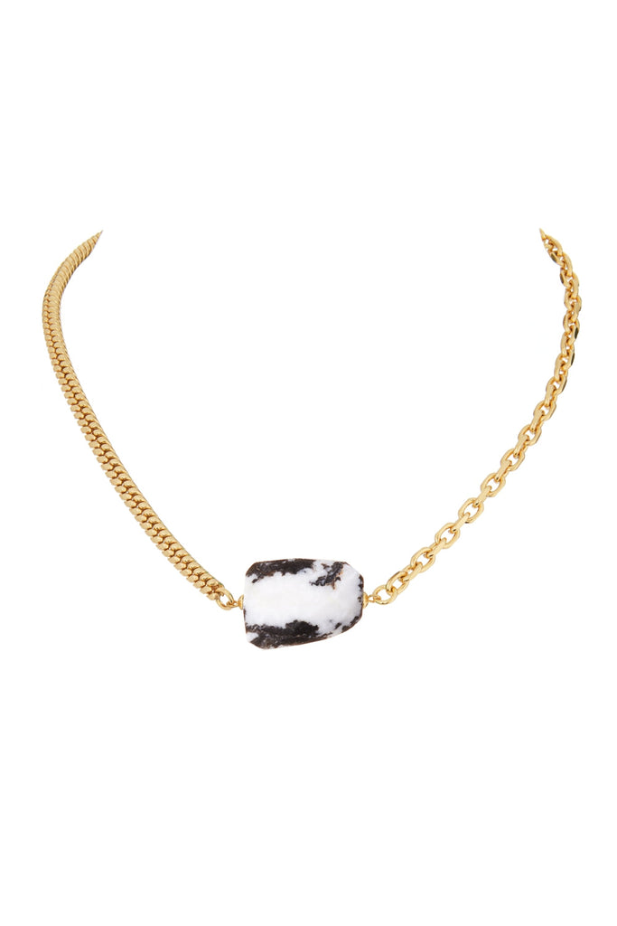 DS1N022_MEXICAN ZEBRA