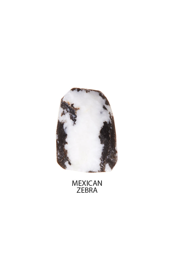 DS1N050_MEXICAN ZEBRA